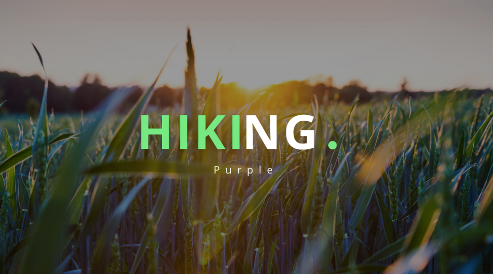 Une Exploration naturelle avec style"HIKING PURPLE"