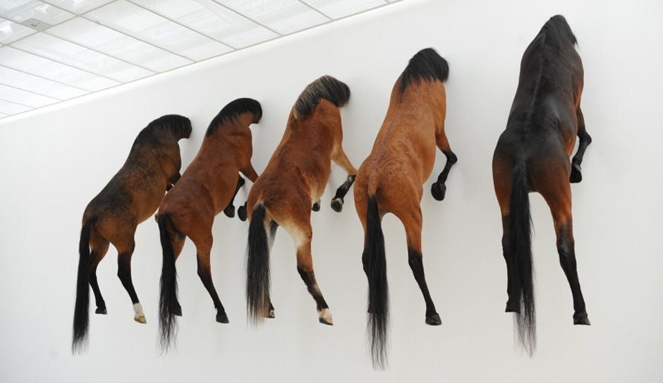 Les Chevaux de Maurizio Cattelan : Entre Provocation et Réflexion