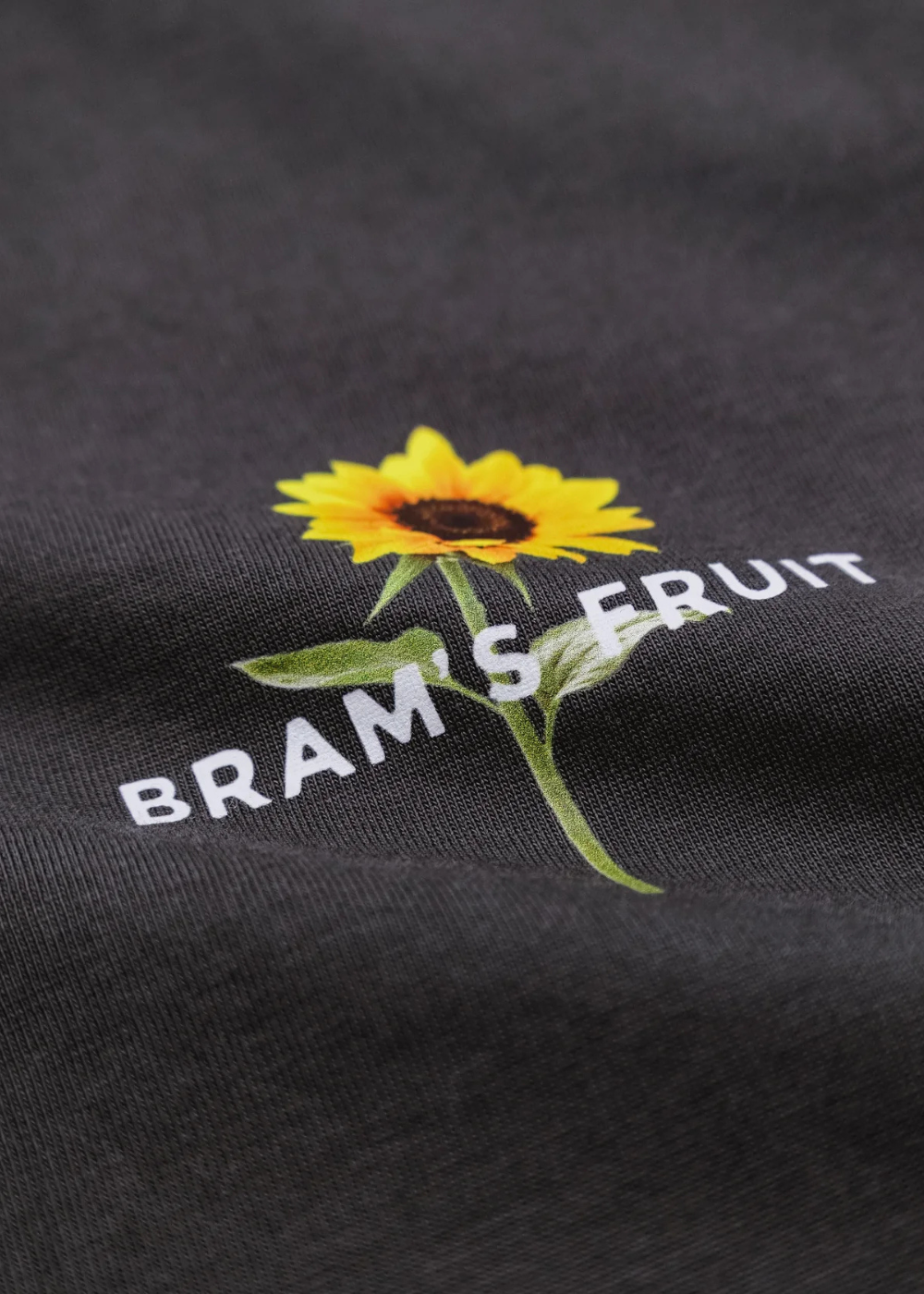 Gros plan sur l'impression tournesol et la maille épaisse en coton 300 GSM du t-shirt Bram’s Fruit.