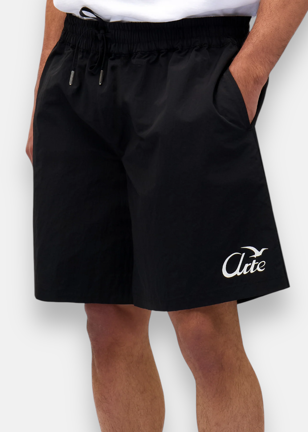 Short Logo Birds Noir