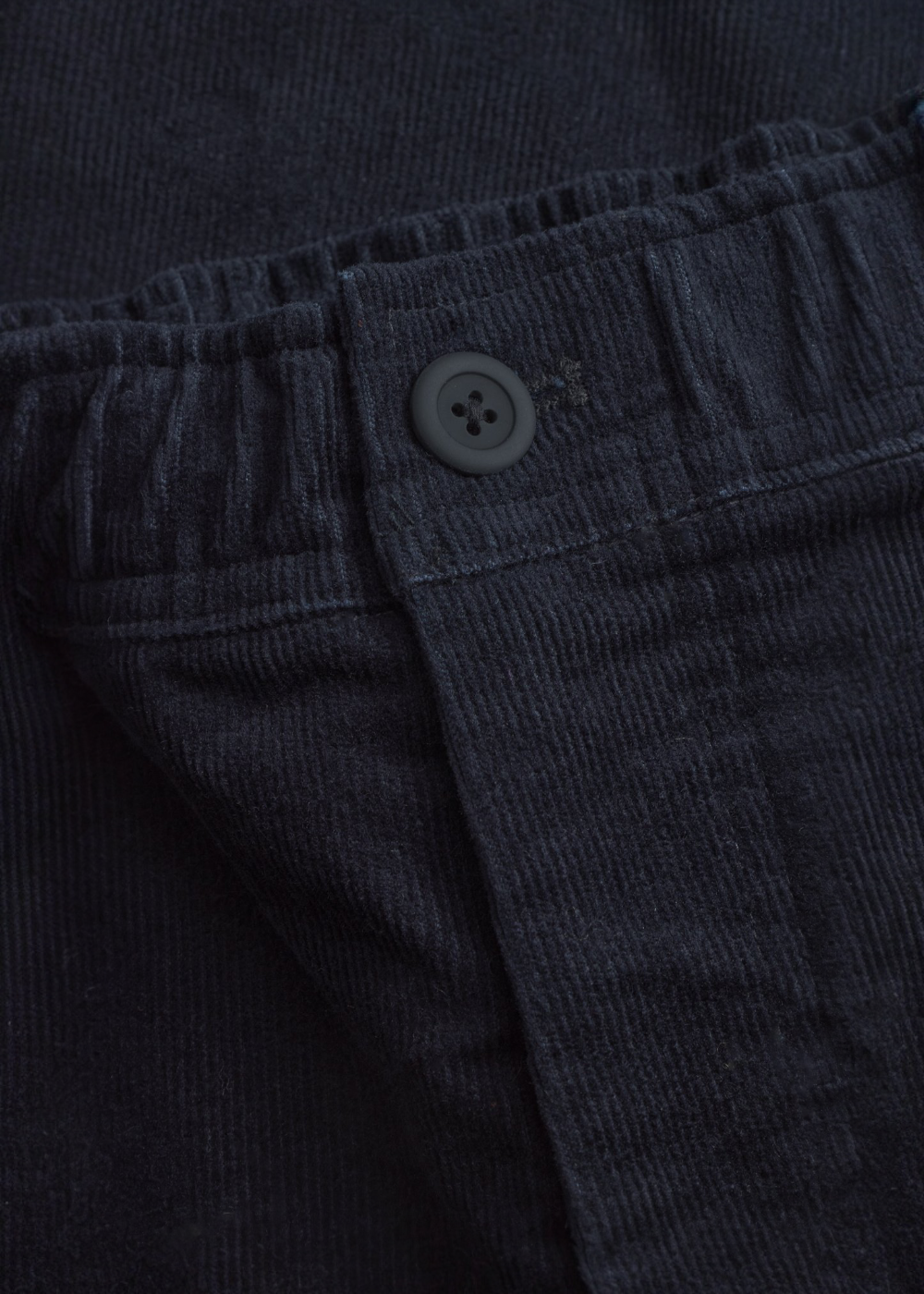 Pantalon Ragnar 2.0 en Velours  - marine