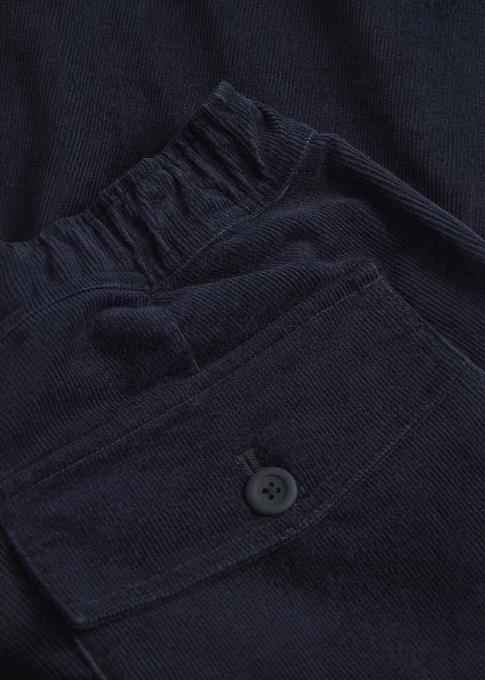 Pantalon Ragnar 2.0 en Velours  - marine