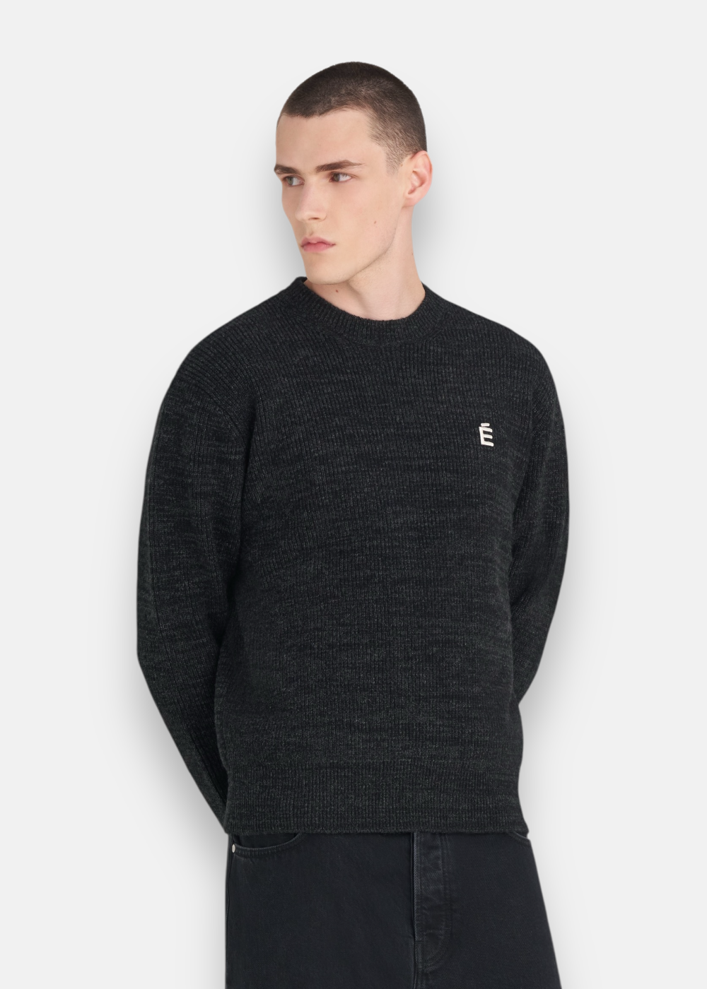 Pull Regular Round Neck É - gris