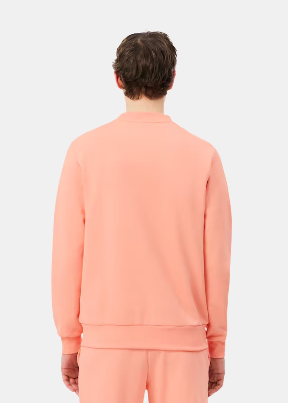 Sweatshirt Lacoste iconique coloris rose corail sur un mannequin de dos