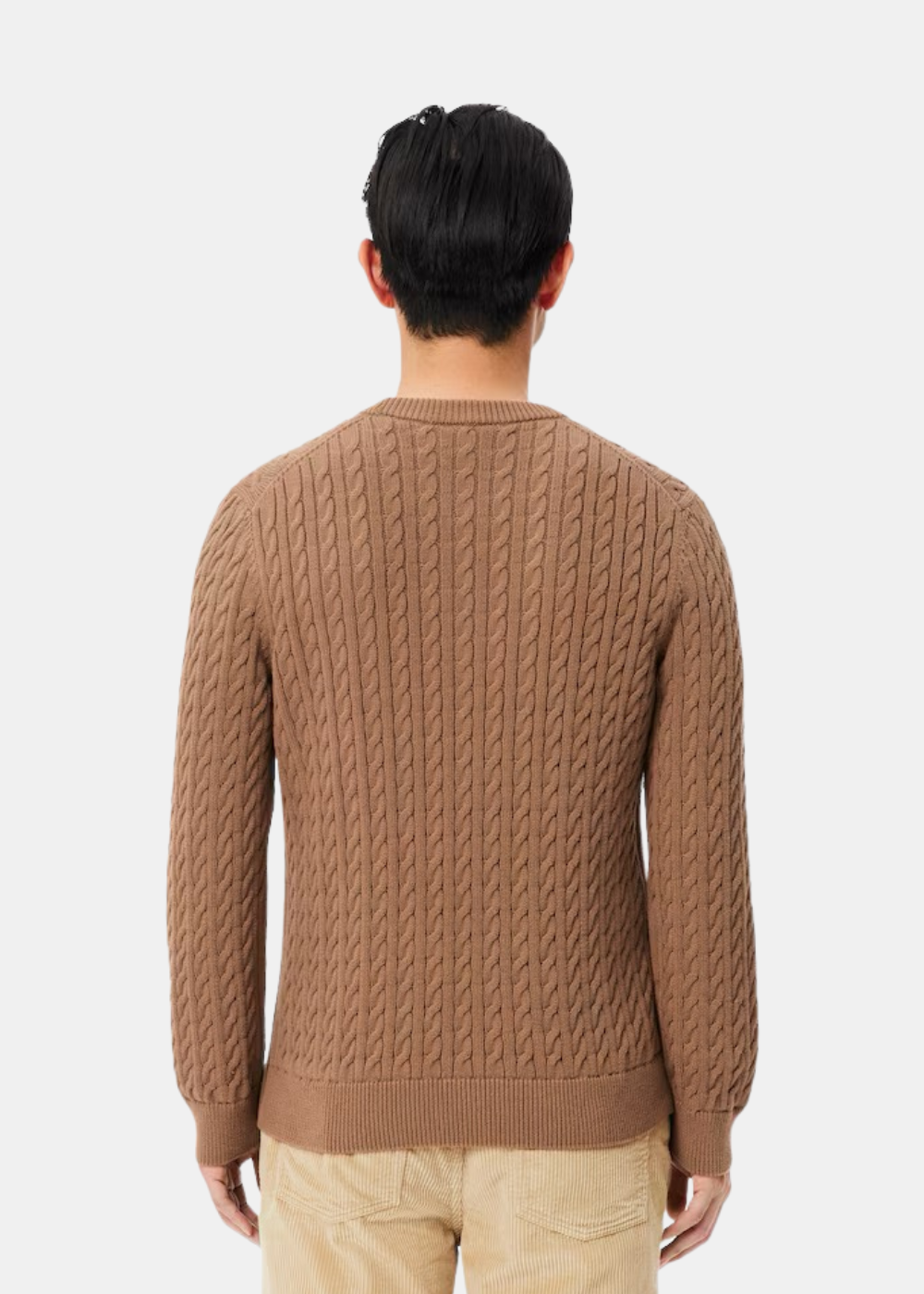 Mannequin homme vu de dos portant le pull torsadé marron camel Lacoste