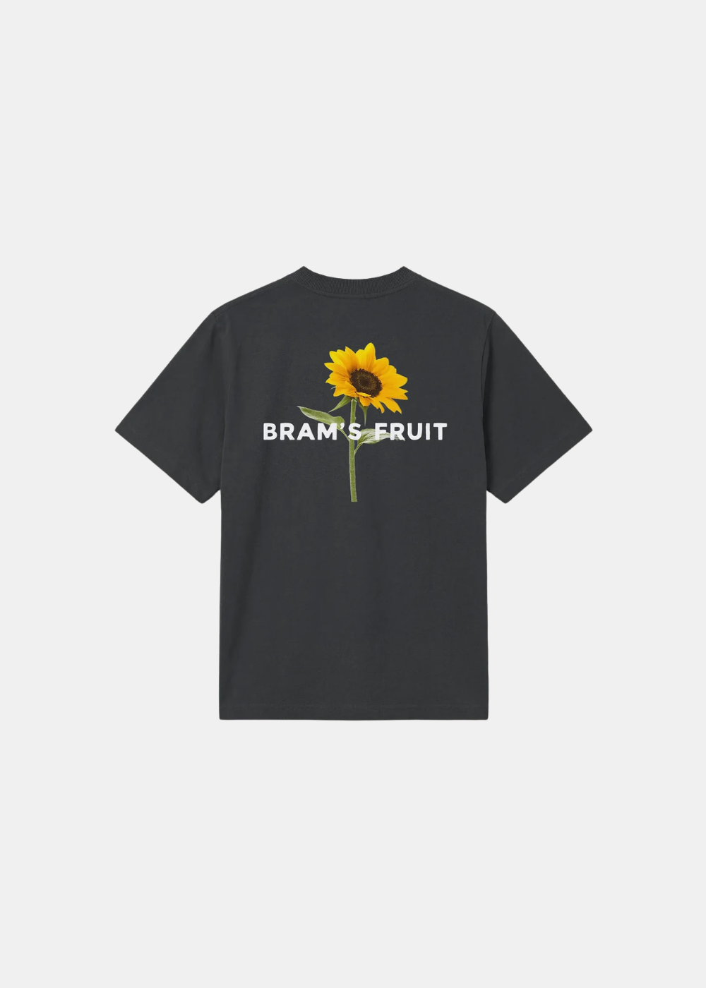 Packshot dos du t-shirt Sunflower Bram’s Fruit Shadow Black montrant le visuel du tournesol jaune.