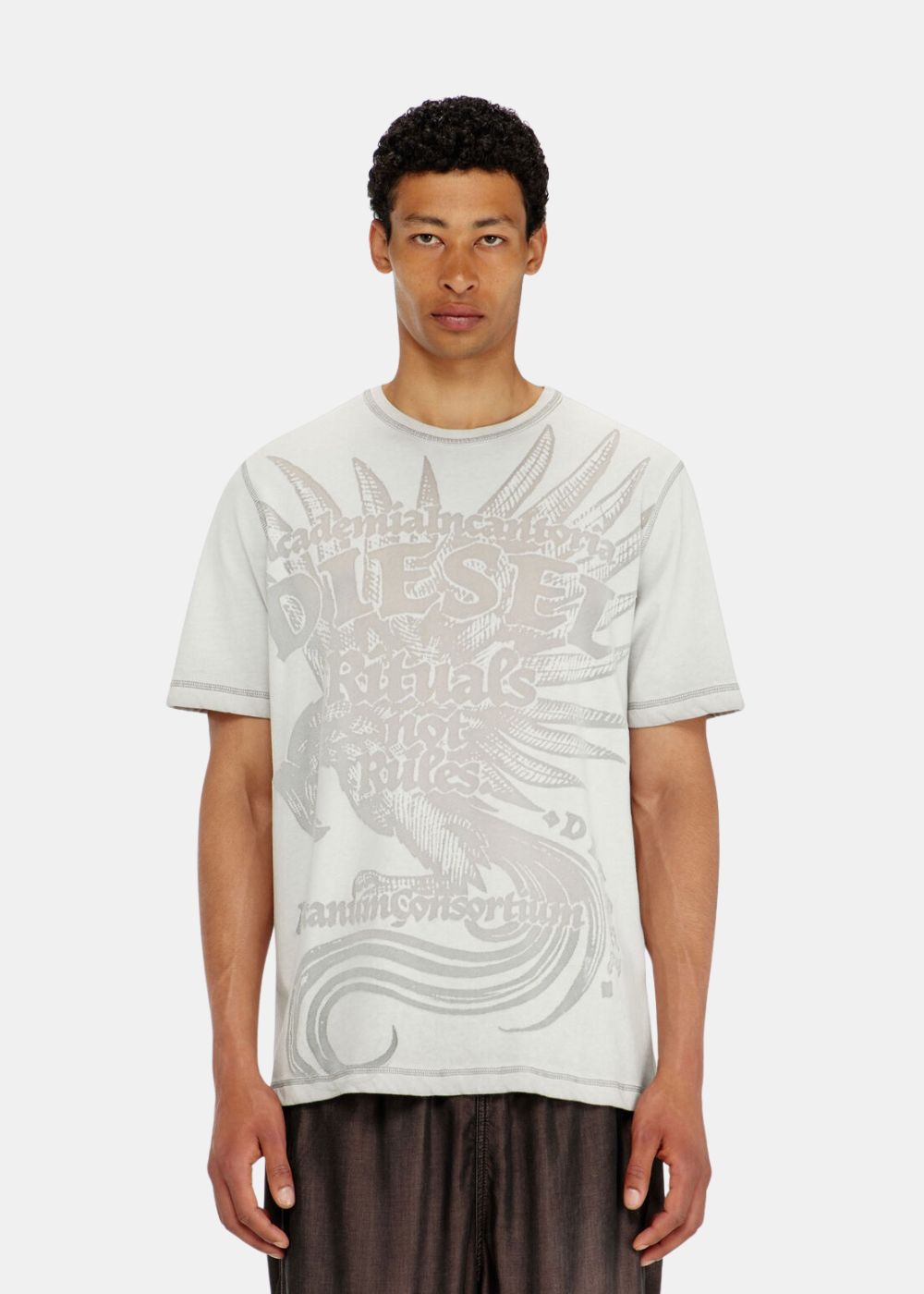 T-shirt gris clair Diesel à col rond porté de face, orné d'un grand motif phénix imprimé sur la poitrine.